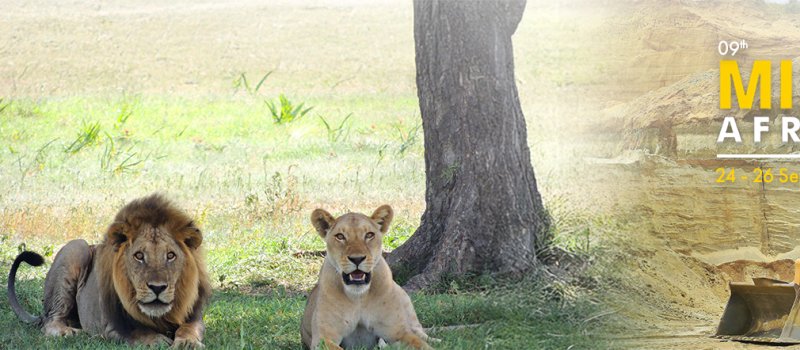 fondo-slide-tanzania